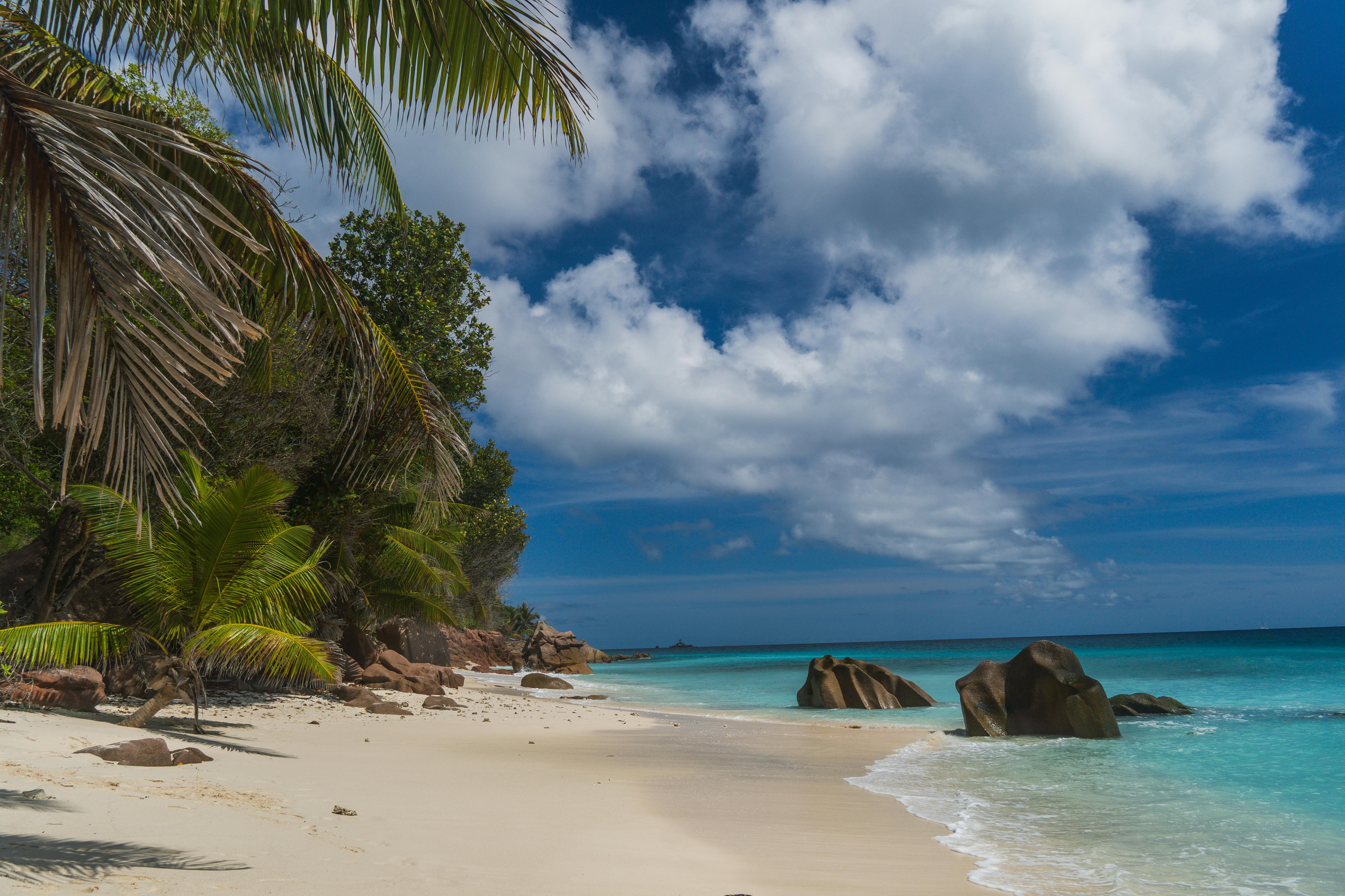 Beach in Seychelles