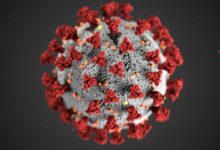 covid 19 virus