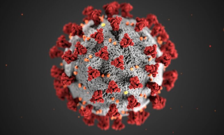 covid 19 virus