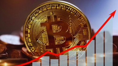 Bitcoin hits $100,000 as pro-crypto