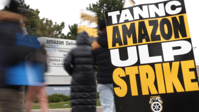 Teamsters Launch Largest Strike Against Amazon in American History, (AP Photo-Nam y.Huh)