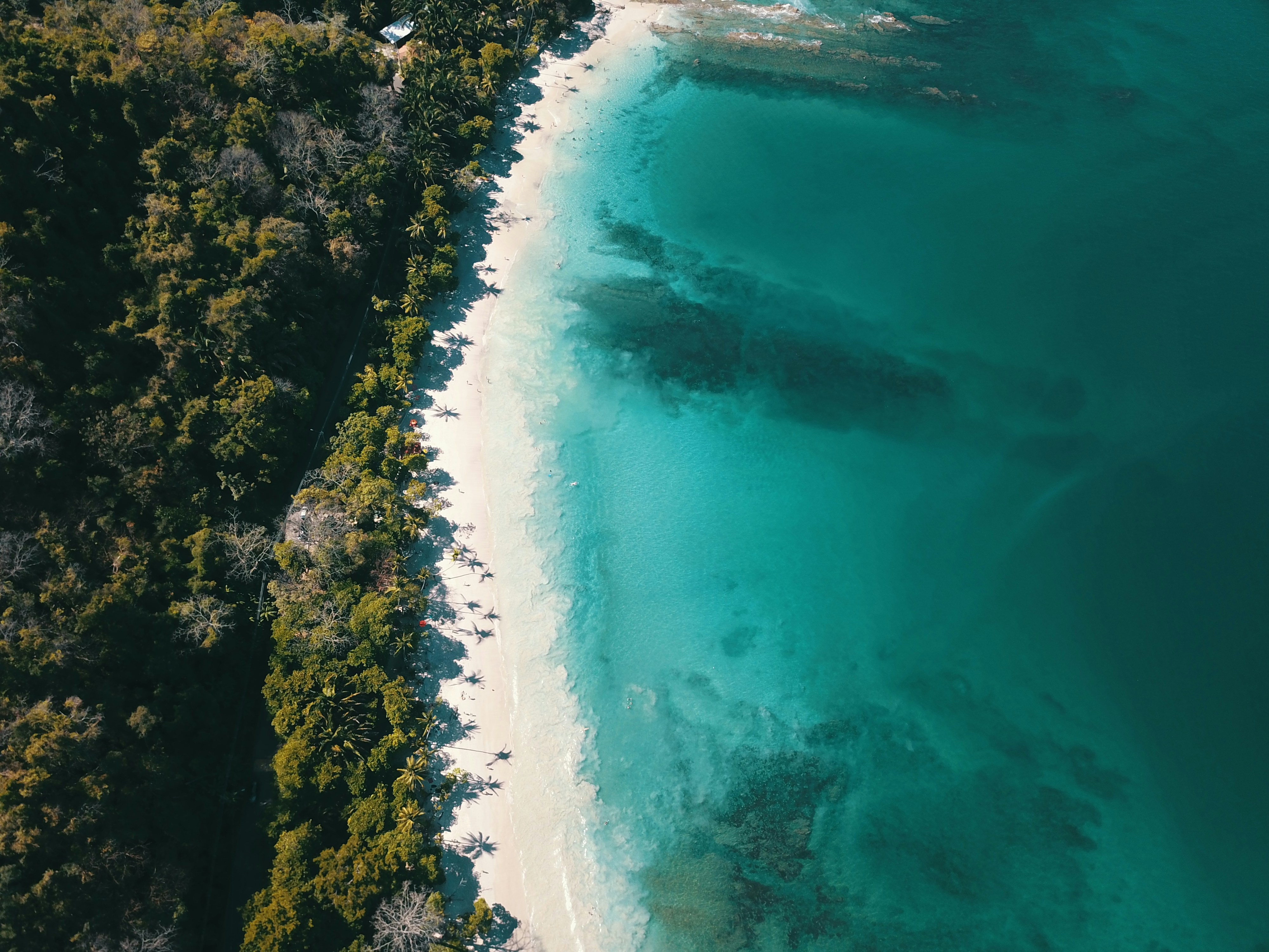 an aerial view of a beach and a forested area
Clear Water Day.

Punta Leona, Costa Rica