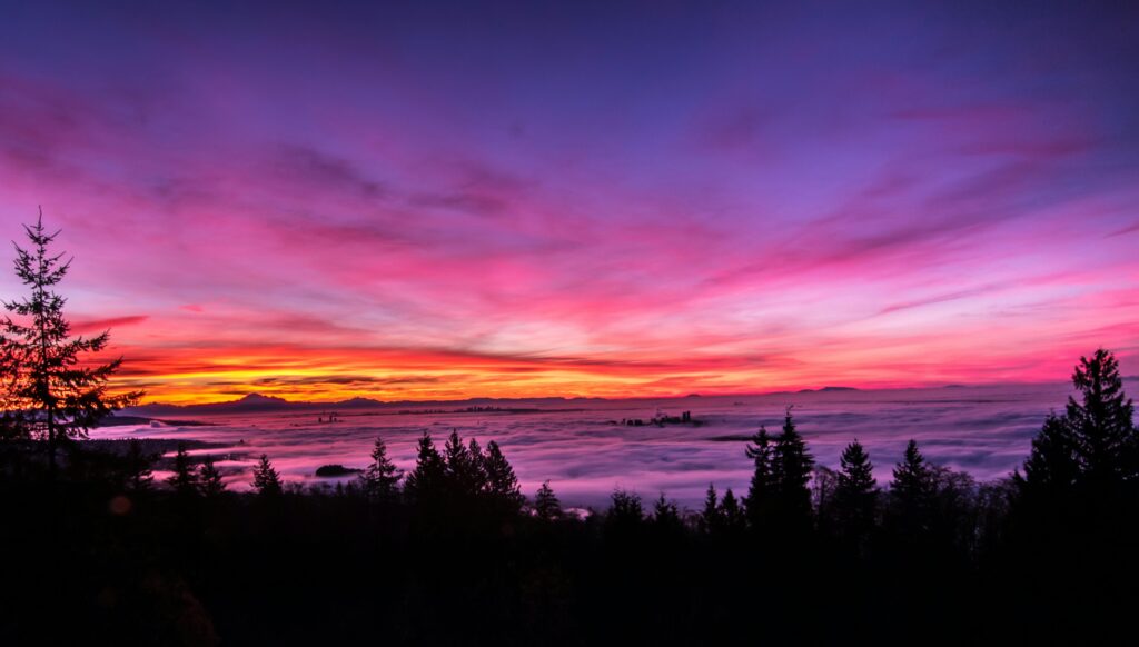 Vancouver, BC, Canada Silhouette Photo of Forest