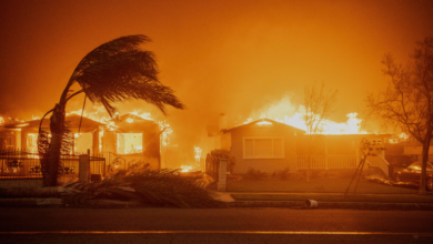 California Wildfires Devastate LA County: 6 Dead, 360,000 Evacuated as Fires Rage from Palisades to Hollywood Hills (Ethan Swope/AP)