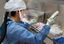 Is HMPV Virus the Next Threat? China Faces Surge in Respiratory Illnesses Five Years After COVID