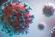 Human Metapneumovirus (HMPV)