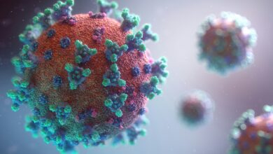 Human Metapneumovirus (HMPV)