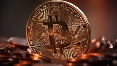 Bitcoin Price Hits New Record
