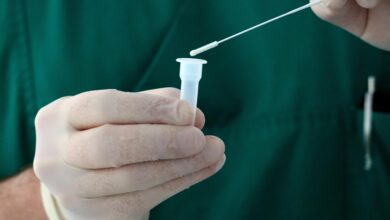 Top virologists sound the alarm on bird flu and plead with world leaders to prepare for another pandemic